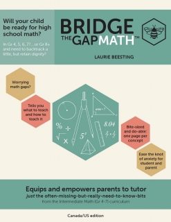 Bridge the Gap Math