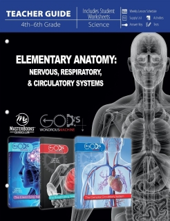 Elementary Anatomy: Nervous, Respiratory, Circulatory Systems EARLY EDITION Teacher Guide / Worksheets Scratch & Dent