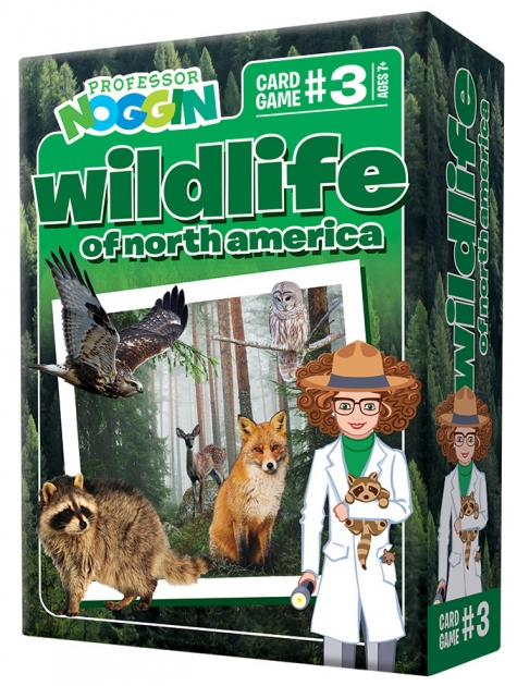 Wildlife of North America - Professor Noggin