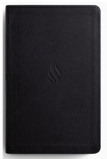 ESV Premium Gift Bible, Flame Design